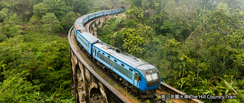 斯里蘭卡-高山茶園火車